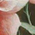 Preview of cross stitch pattern: #2237800