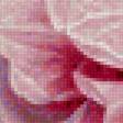 Preview of cross stitch pattern: #2240214