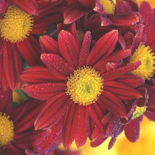 Cross stitch pattern: #2240241