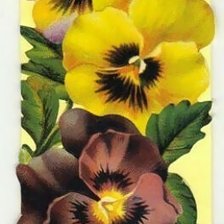 Cross stitch pattern: #2240876