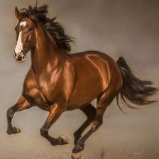 Cross stitch pattern: #2240882