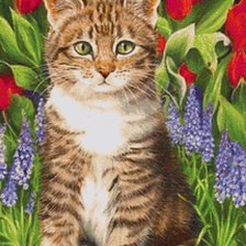 Cross stitch pattern: #2241367