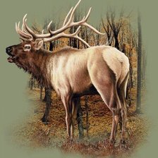 Cross stitch pattern: #2244874