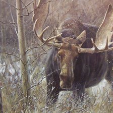 Cross stitch pattern: #2244875