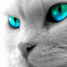 Cross stitch pattern: #2245108