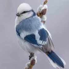 Cross stitch pattern: #2245235