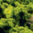 Preview of cross stitch pattern: #2245343