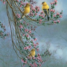 Cross stitch pattern: #2246207