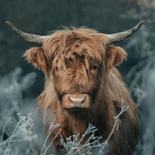 Cross stitch pattern: #2246946