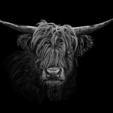 Cross stitch pattern: #2246947