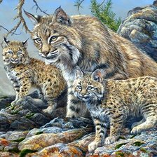 Cross stitch pattern: #2248516