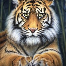 Cross stitch pattern: #2248573