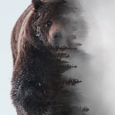 Cross stitch pattern: #2249407