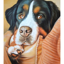 Cross stitch pattern: #2253118