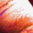 Preview of cross stitch pattern: #2253381