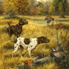 Cross stitch pattern: #2257020