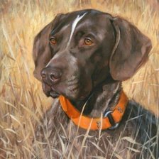 Cross stitch pattern: #2257021