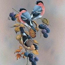 Cross stitch pattern: #2258205
