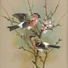 Cross stitch pattern: #2258209