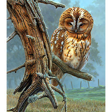 Cross stitch pattern: #2259057