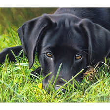 Cross stitch pattern: #2259073