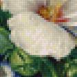 Preview of cross stitch pattern: #2259126