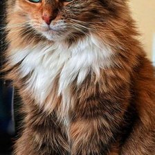 Cross stitch pattern: #2261186