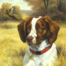 Cross stitch pattern: #2262626