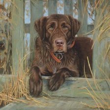 Cross stitch pattern: #2262627