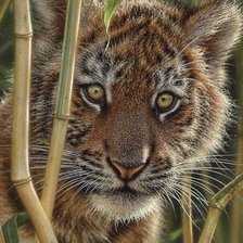 Cross stitch pattern: #2265330