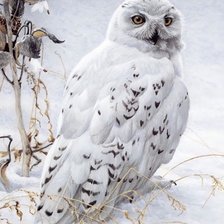 Cross stitch pattern: #2265924