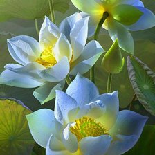 Cross stitch pattern: #2266453