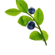 Cross stitch pattern: #2269516