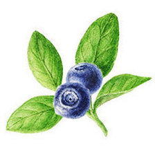 Cross stitch pattern: #2269561