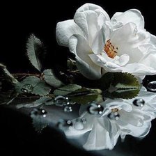 Cross stitch pattern: #2270324