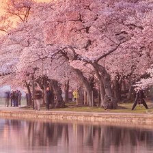 Cross stitch pattern: #2272147