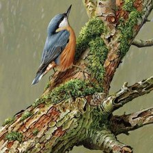 Cross stitch pattern: #2272173