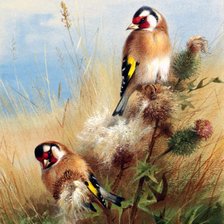 Cross stitch pattern: #2275064