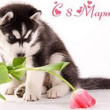 Cross stitch pattern: #2276041