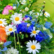 Cross stitch pattern: #2281205