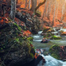 Cross stitch pattern: #2283104