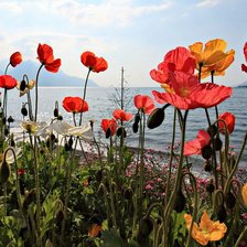 Cross stitch pattern: #2287312