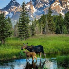 Cross stitch pattern: #2287696