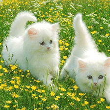 Cross stitch pattern: #2293708