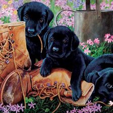 Cross stitch pattern: #2293795