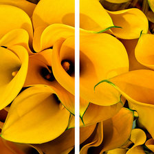 Cross stitch pattern: #2293910