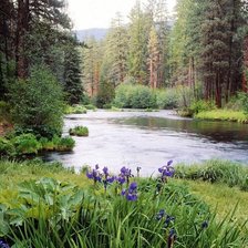 Cross stitch pattern: #2293936