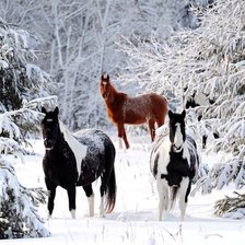 Cross stitch pattern: #2293945