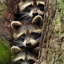 Cross stitch pattern: #2294018