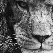 Cross stitch pattern: #2294070